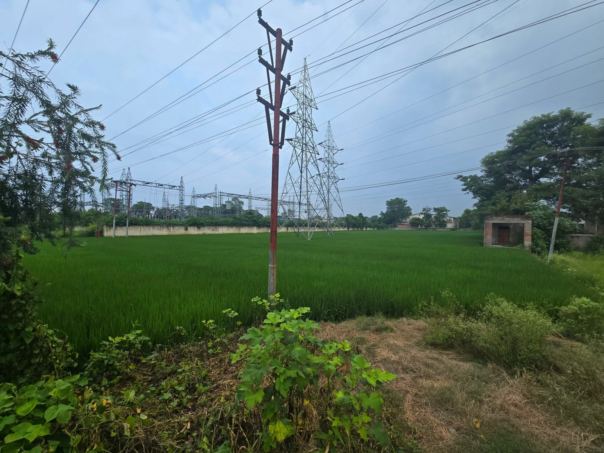 Rani Nagal, Udham Singh Nagar, Uttarakhand 262401, India