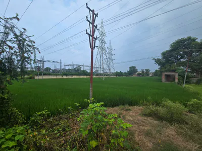 Rani Nagal, Udham Singh Nagar, Uttarakhand 262401, India preview 2