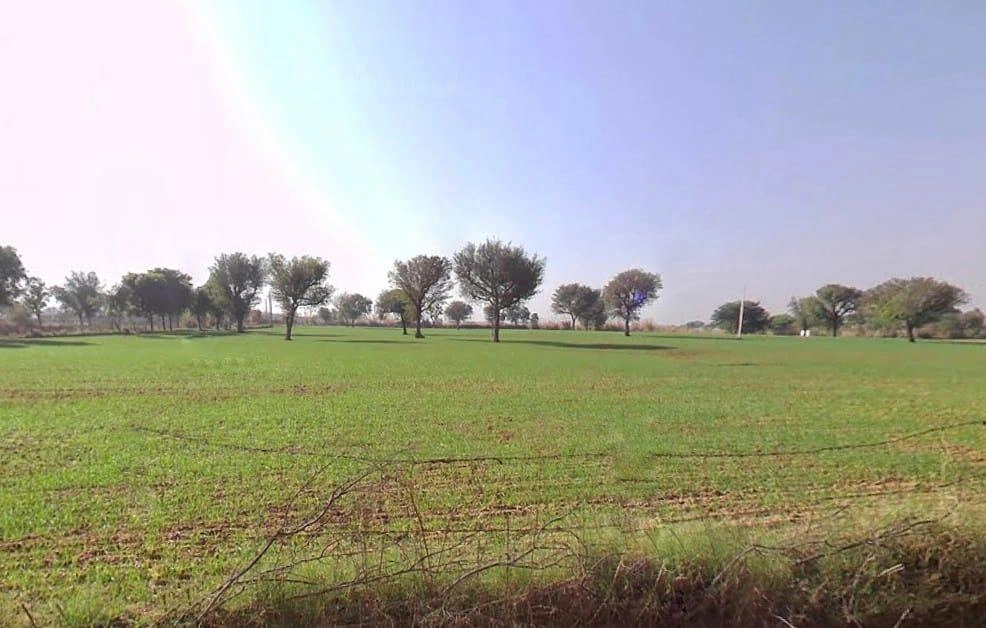 Daulatpura, Rajasthan, India