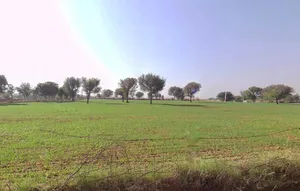 Daulatpura, Rajasthan, India preview 3