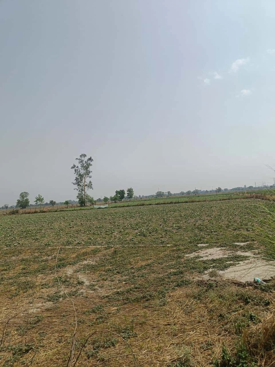 Aou, Rajasthan, India