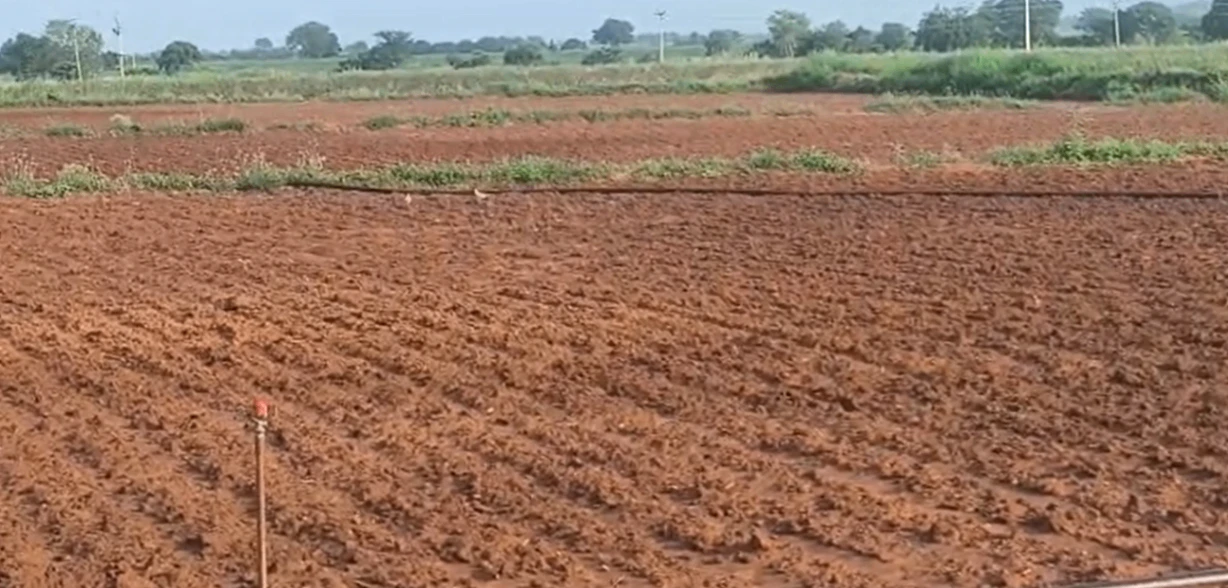 G979+9H Tadoor, Nagarkurnool, Telangana, India