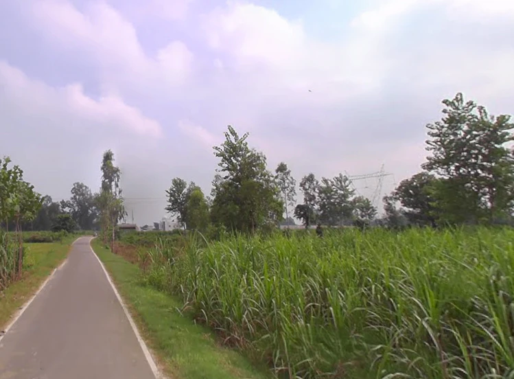 Dotai, Uttar Pradesh 245205, India