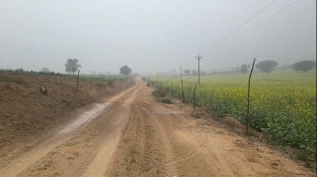 62JQ+V5 Bhojewala, Rajasthan, India