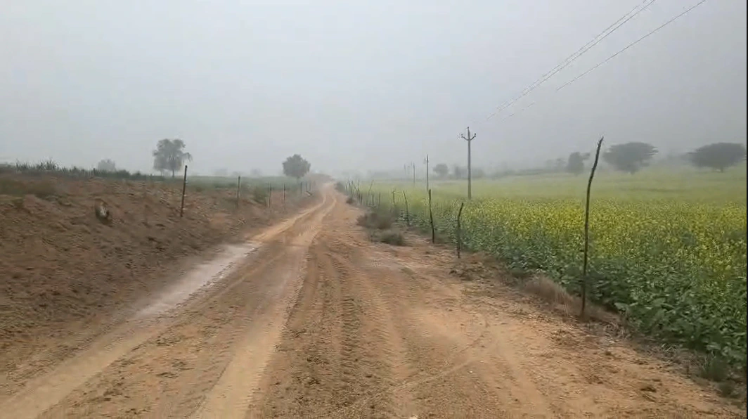 62JQ+V5 Bhojewala, Rajasthan, India