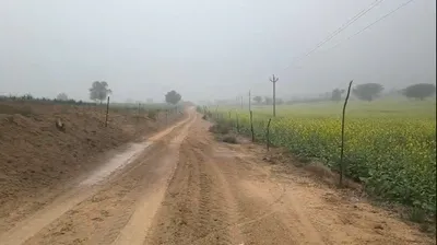 62JQ+V5 Bhojewala, Rajasthan, India preview 3