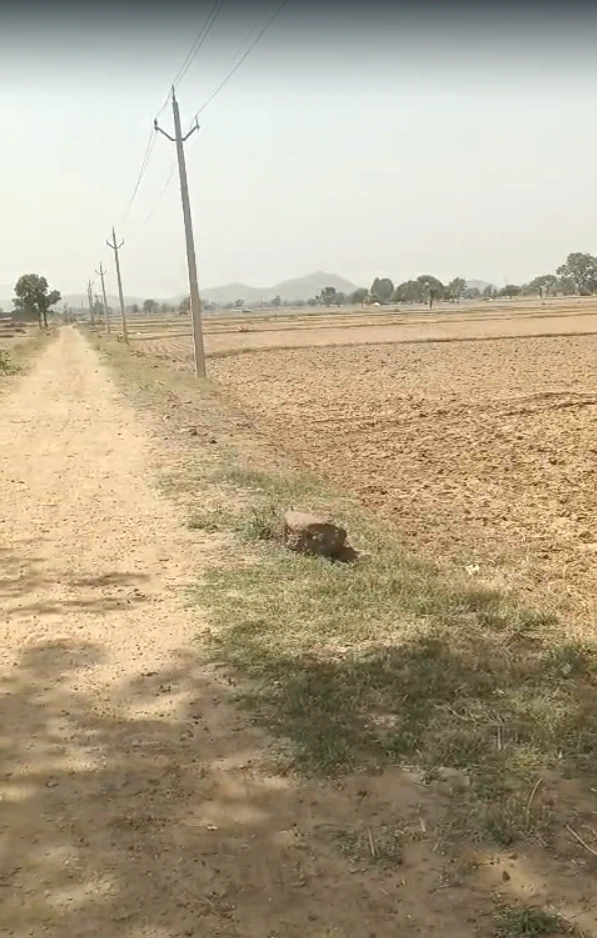 3VCM+R2 Ubaraka, Rajasthan, India