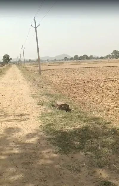 3VCM+R2 Ubaraka, Rajasthan, India preview 2