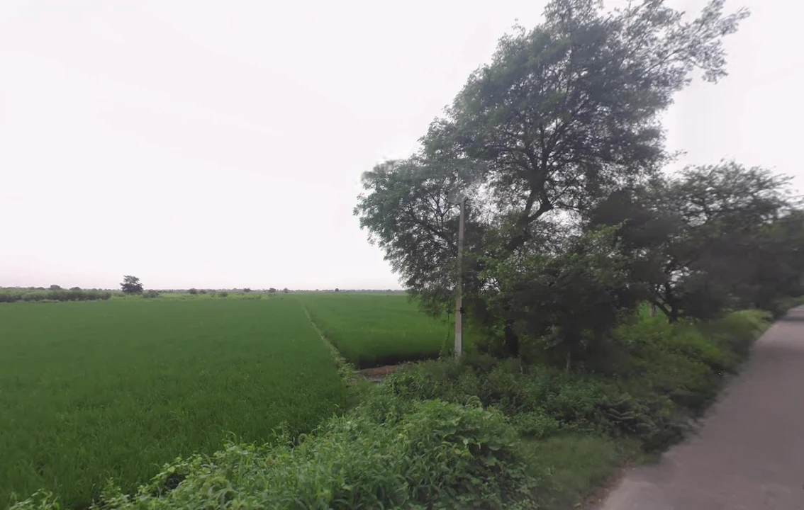 X8CR+FWC, NH 19, Khatela Sarai, Haryana 121105, India