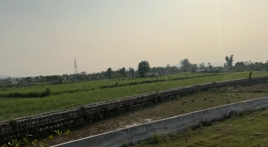 Thala, Madhya Pradesh 464770, India