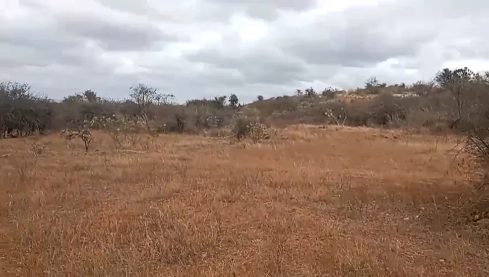 XR2Q+R9 Gownivaripalli, Andhra Pradesh, India preview 2