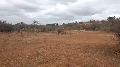 XR2Q+R9 Gownivaripalli, Andhra Pradesh, India preview 2