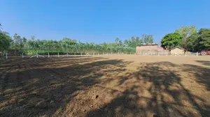 Hasanawala, Uttarakhand 247662, India preview 2