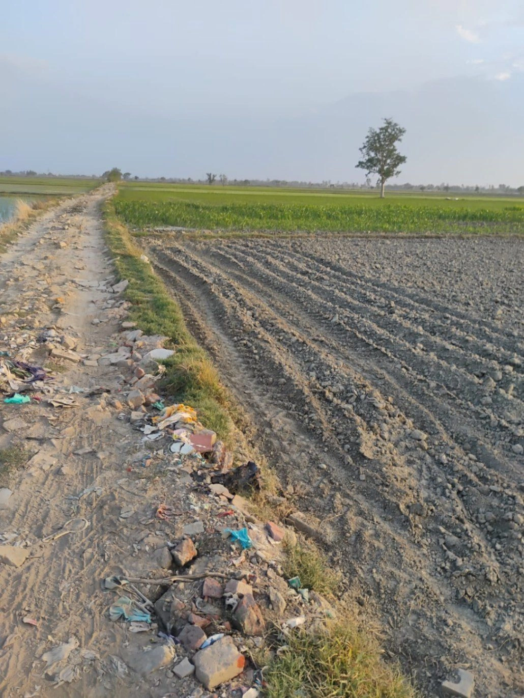 Bishambhara, Uttar Pradesh 281404, India