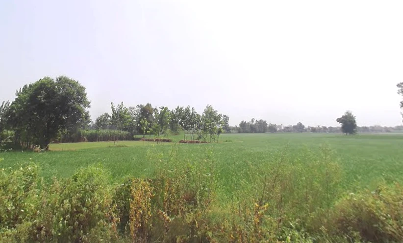 Janipur, Uttar Pradesh 247129, India