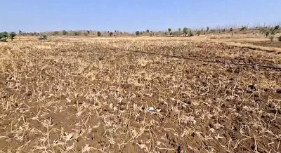 Soyat Kalan, Agar Malwa, Madhya Pradesh 465449, India preview 2