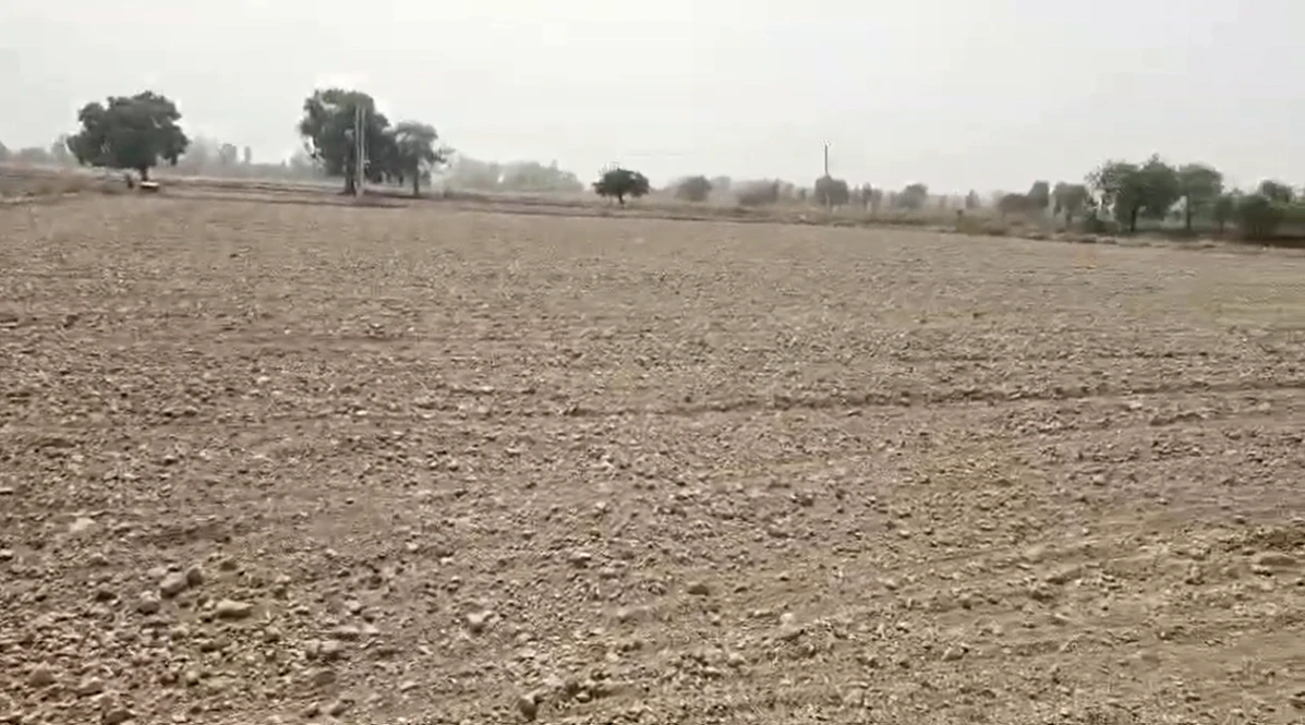 PGJ3+FG Chhata, Mathura, Uttar Pradesh, India