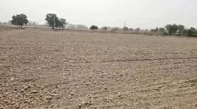PGJ3+FG Chhata, Mathura, Uttar Pradesh, India preview 2