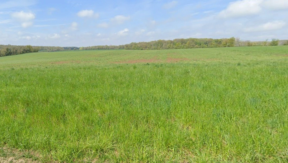 Sultanpur, Madhya Pradesh 464986, India