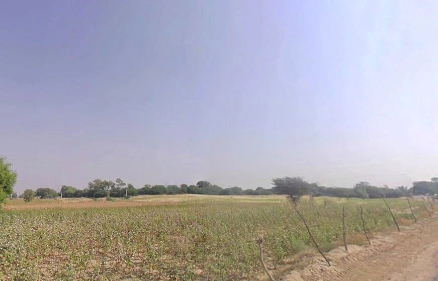 Siyasar Chaugan, Rajasthan, India