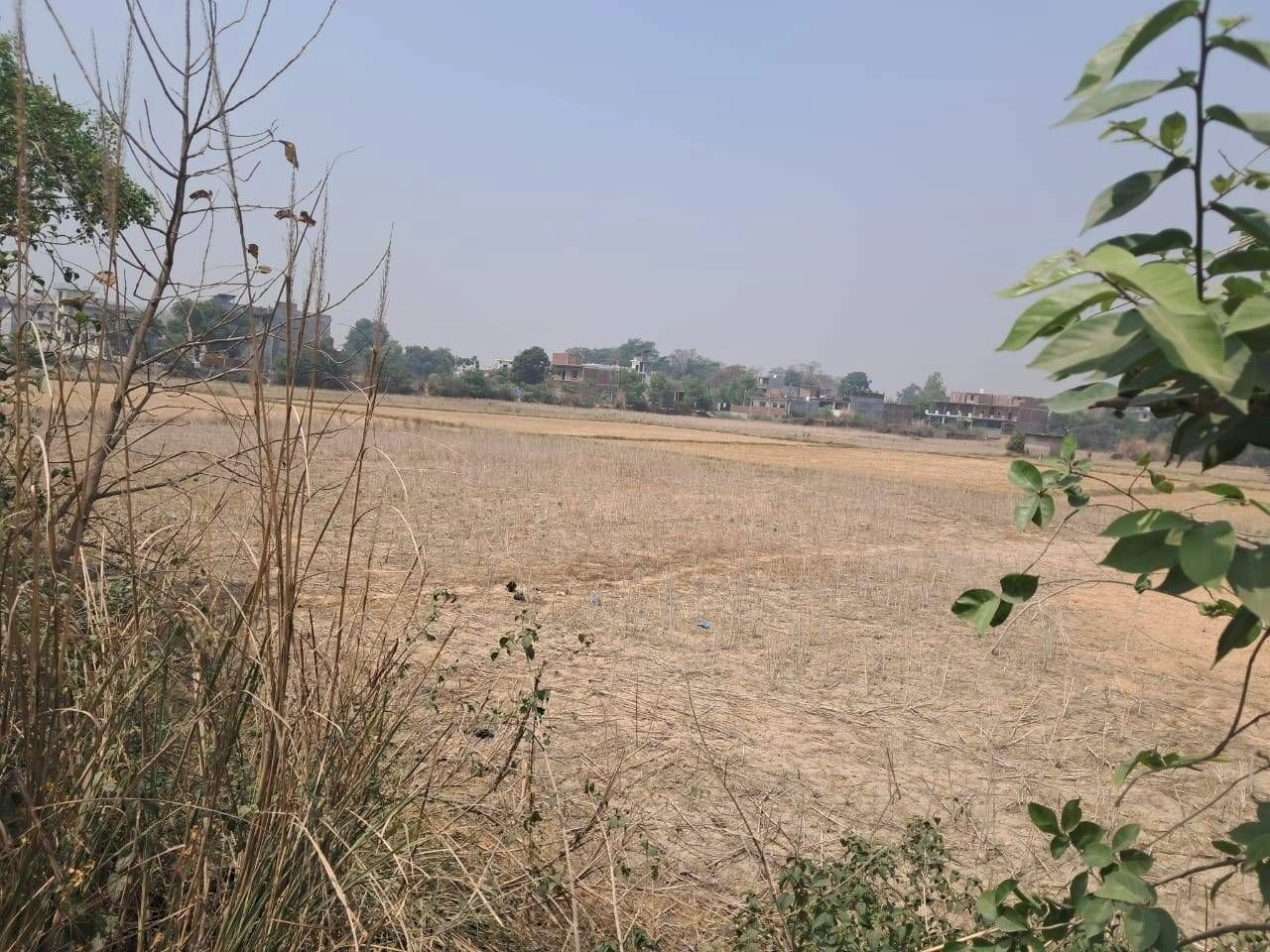 Chidwai, Rajasthan 301026, India