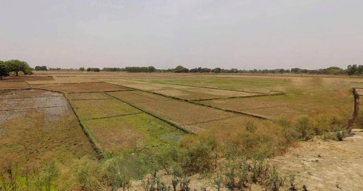 Anupgarh, Rajasthan 335701, India