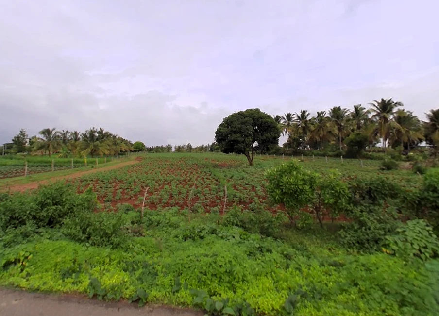 Heggadadevankote, Karnataka 571114, India