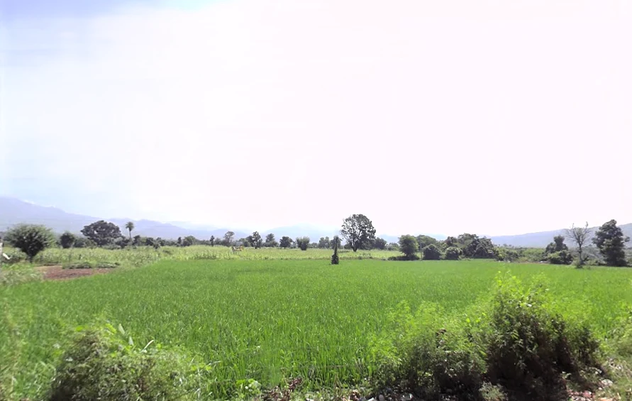 Chikan, Haryana 134102, India