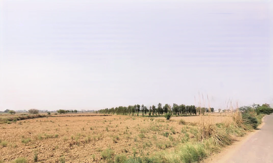 Buana Lakhu, Haryana 132107, India