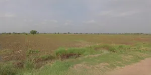 Budaun, Uttar Pradesh 243601, India preview 3