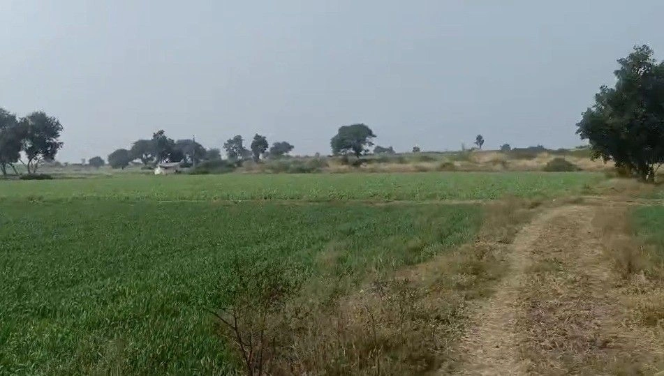 2X2M+X8Q, Singawada, Madhya Pradesh 455001, India