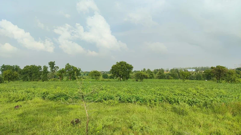 9QQJ+7P Dadhera, Maharashtra, India preview 3