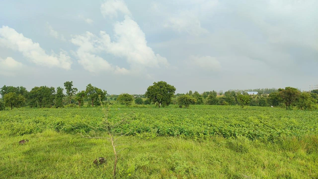 9QQJ+7P Dadhera, Maharashtra, India