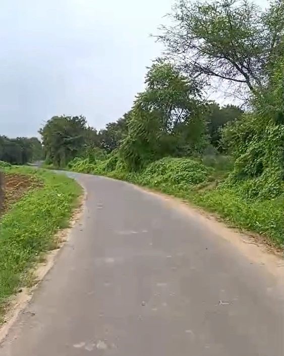Udesipur, Sonipat, Haryana 131102, India