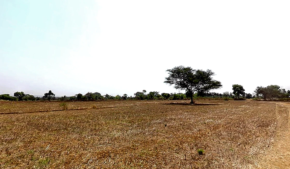 Kallodu, Karnataka, India