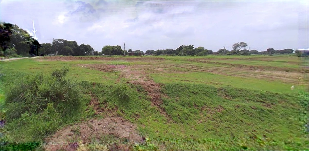Barnagar, Madhya Pradesh 456771, India