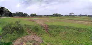 Barnagar, Madhya Pradesh 456771, India preview 2