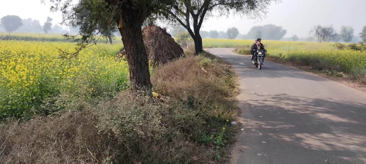 Barodameo, Rajasthan 301021, India