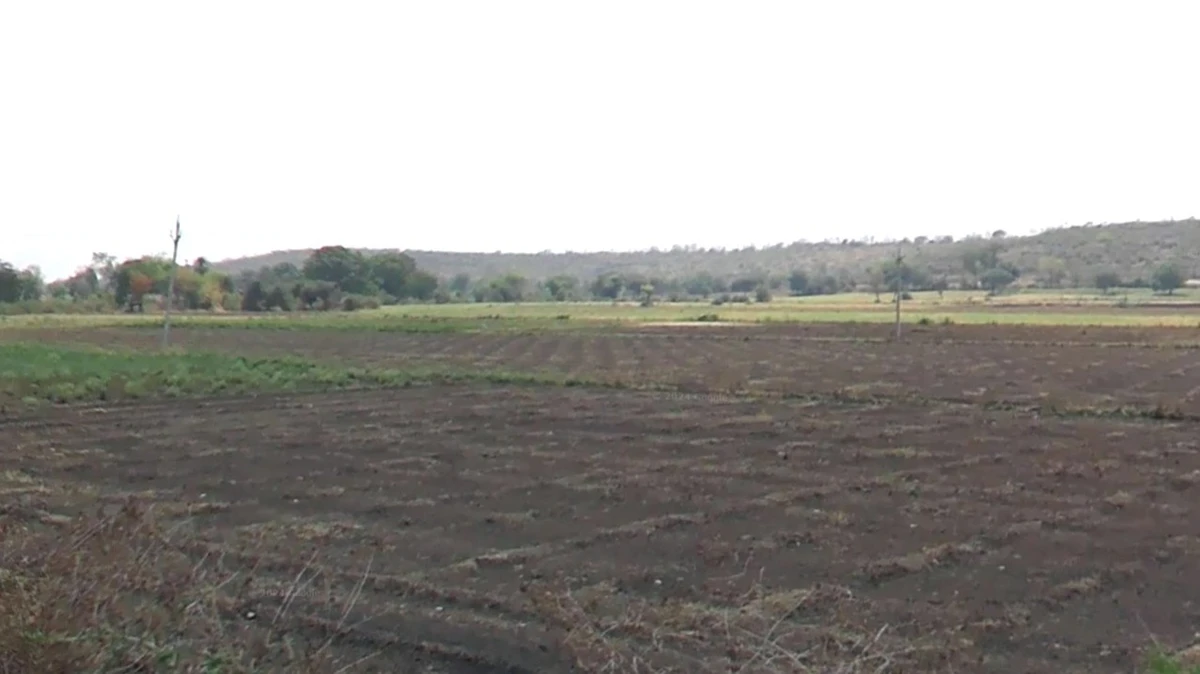 Kanadiya, Madhya Pradesh 452016, India