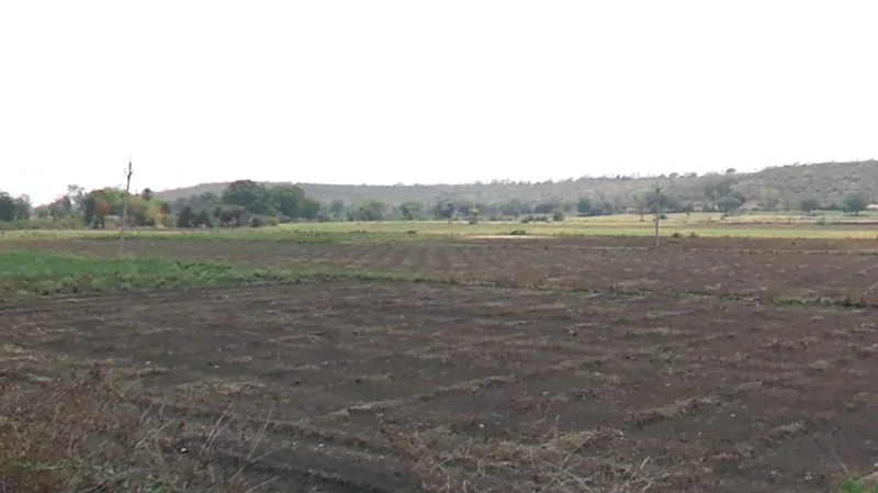 Kanadiya, Madhya Pradesh 452016, India preview 3