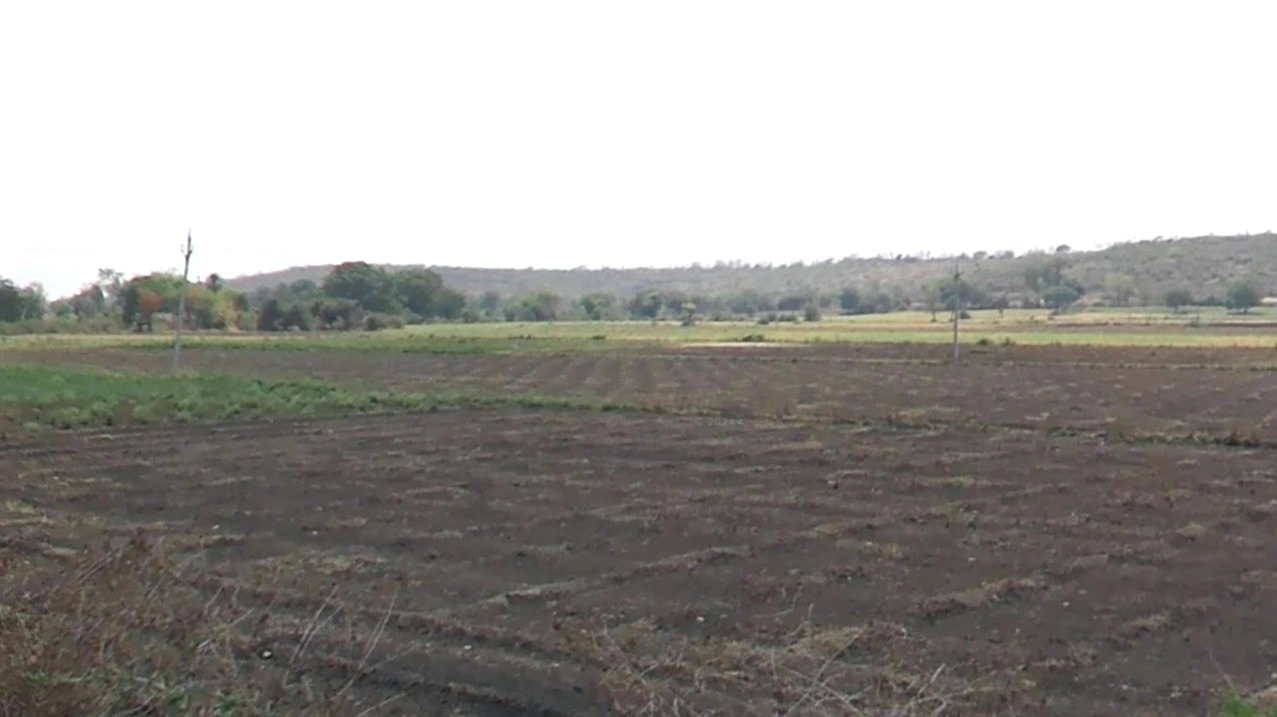 Kanadiya, Madhya Pradesh 452016, India