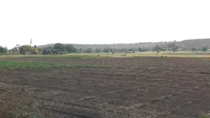 Kanadiya, Madhya Pradesh 452016, India preview 3