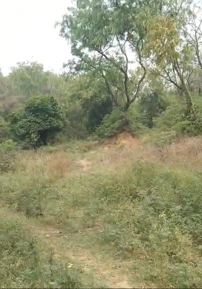 944P+24 Harjiana, Hoshiarpur, Punjab, India preview 2