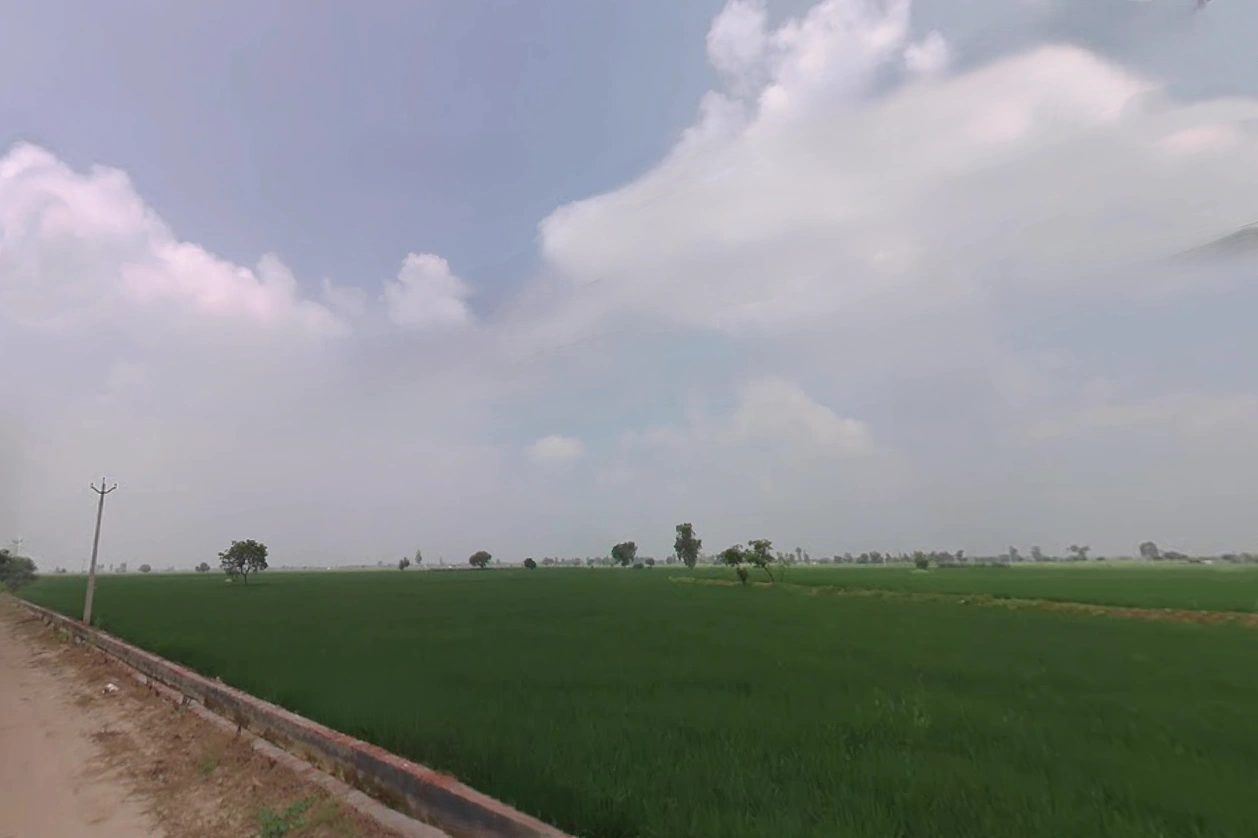 Kalayat, Haryana 136117, India