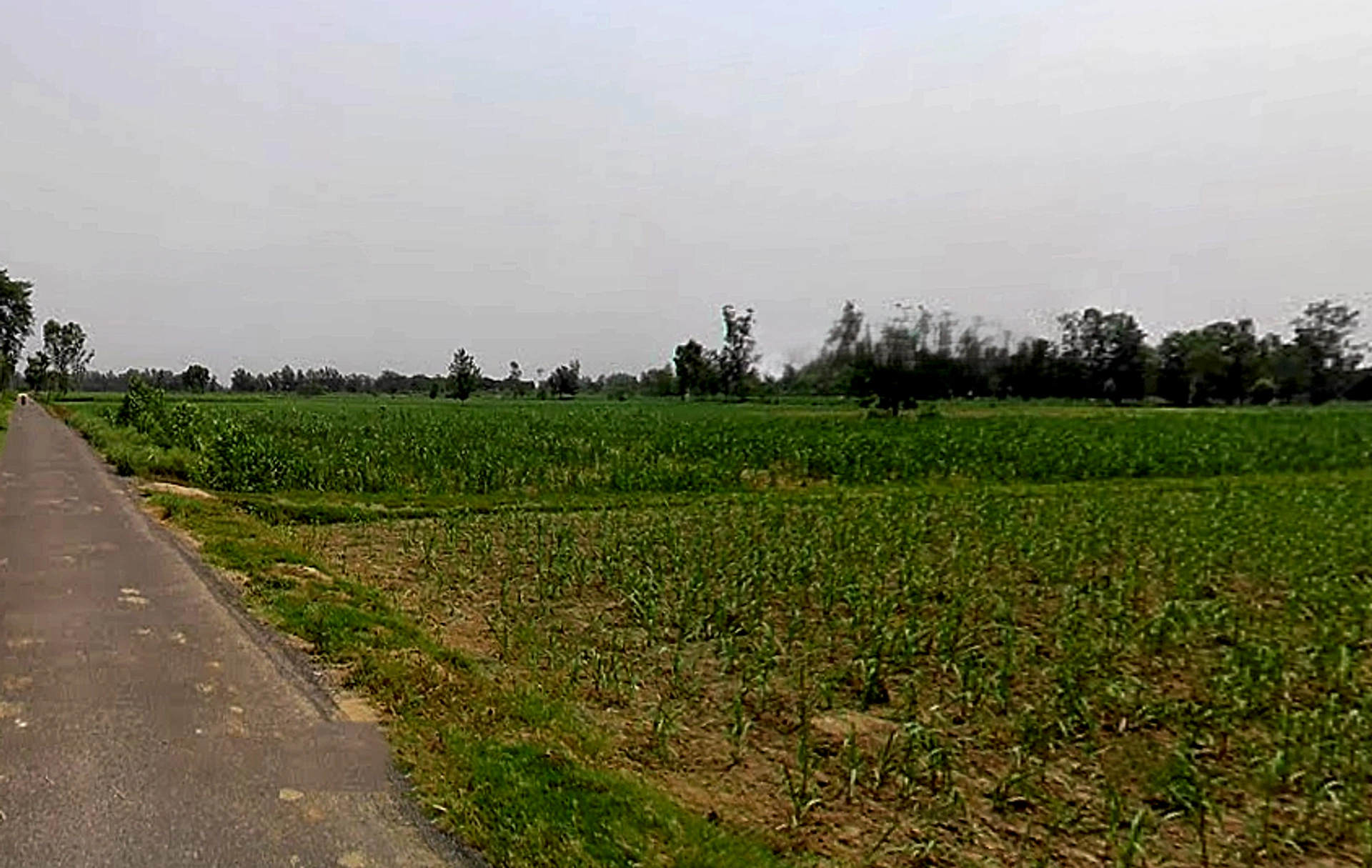 Garh Mukteshwar, Uttar Pradesh 245205, India