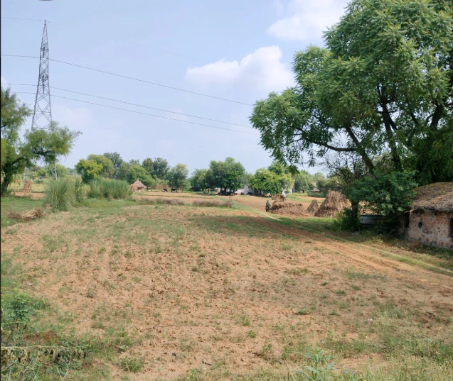 Nasopur, Khairthal-Tijara, Rajasthan 301707, India - Photo 2
