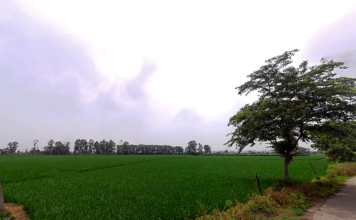 Taraori, Haryana, India