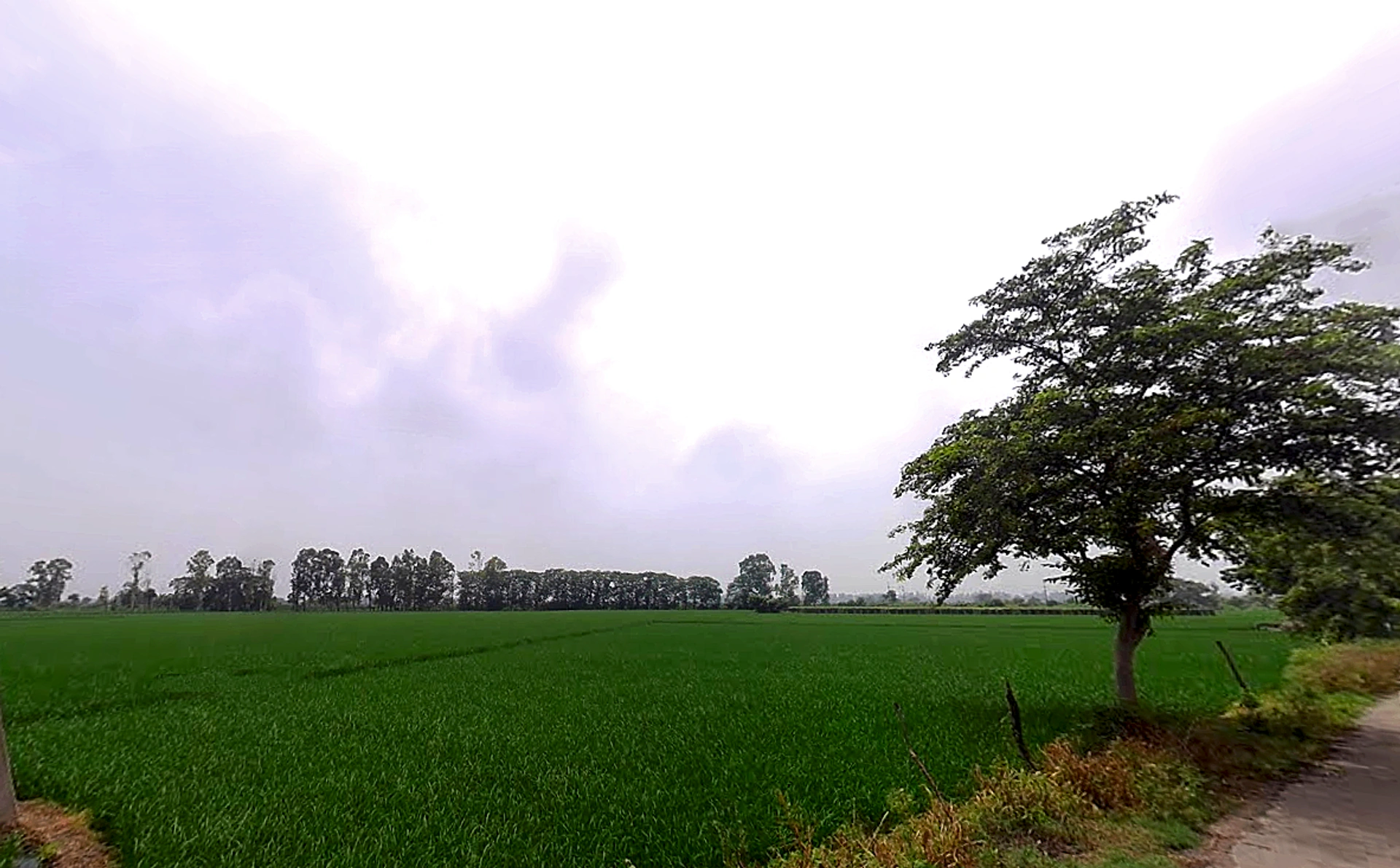 Taraori, Haryana, India