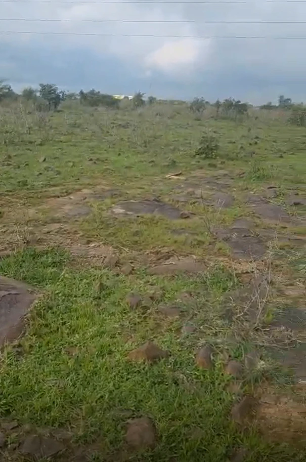 Dabra, Gwalior, Madhya Pradesh 475110, India