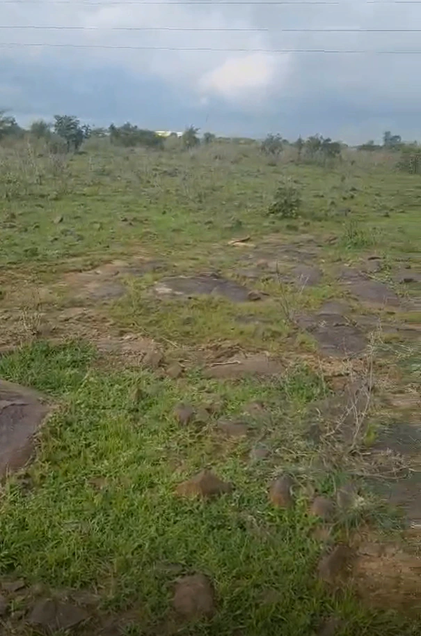 Dabra, Gwalior, Madhya Pradesh 475110, India - Photo 2